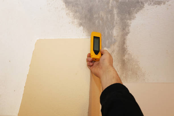 Best Biohazard Mold Removal  in Missoula, MT