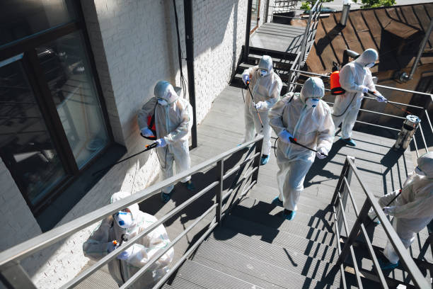 Best Emergency Mold Remediation  in Missoula, MT