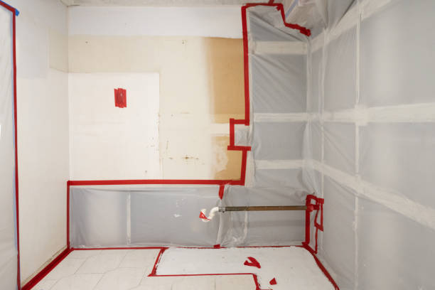 Mold Remediation for Vacation Homes in Missoula, MT