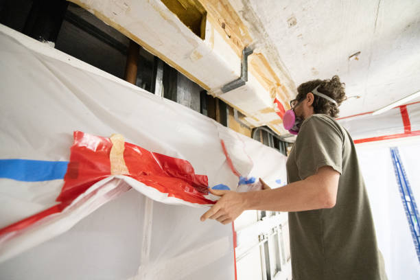 Best Mold Odor Removal Services  in Missoula, MT
