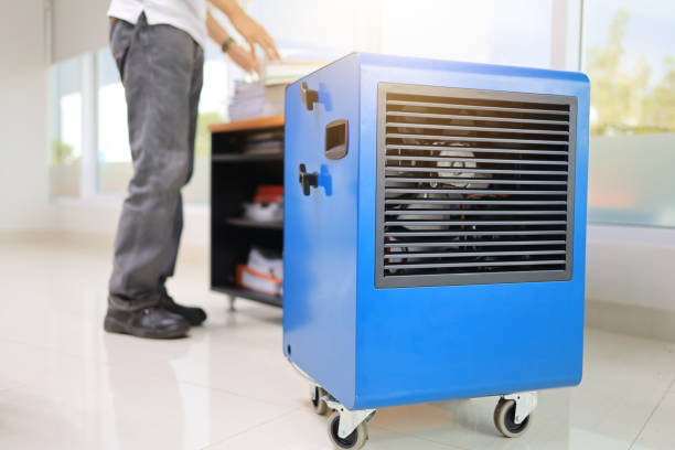  Missoula, MT Mold Removal Pros