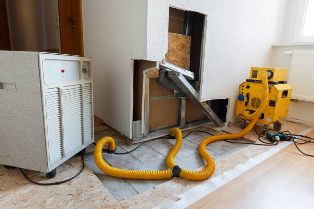 Best Water Damage & Mold Remediation  in Missoula, MT